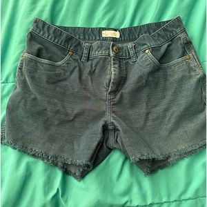 Carve Designs size 6